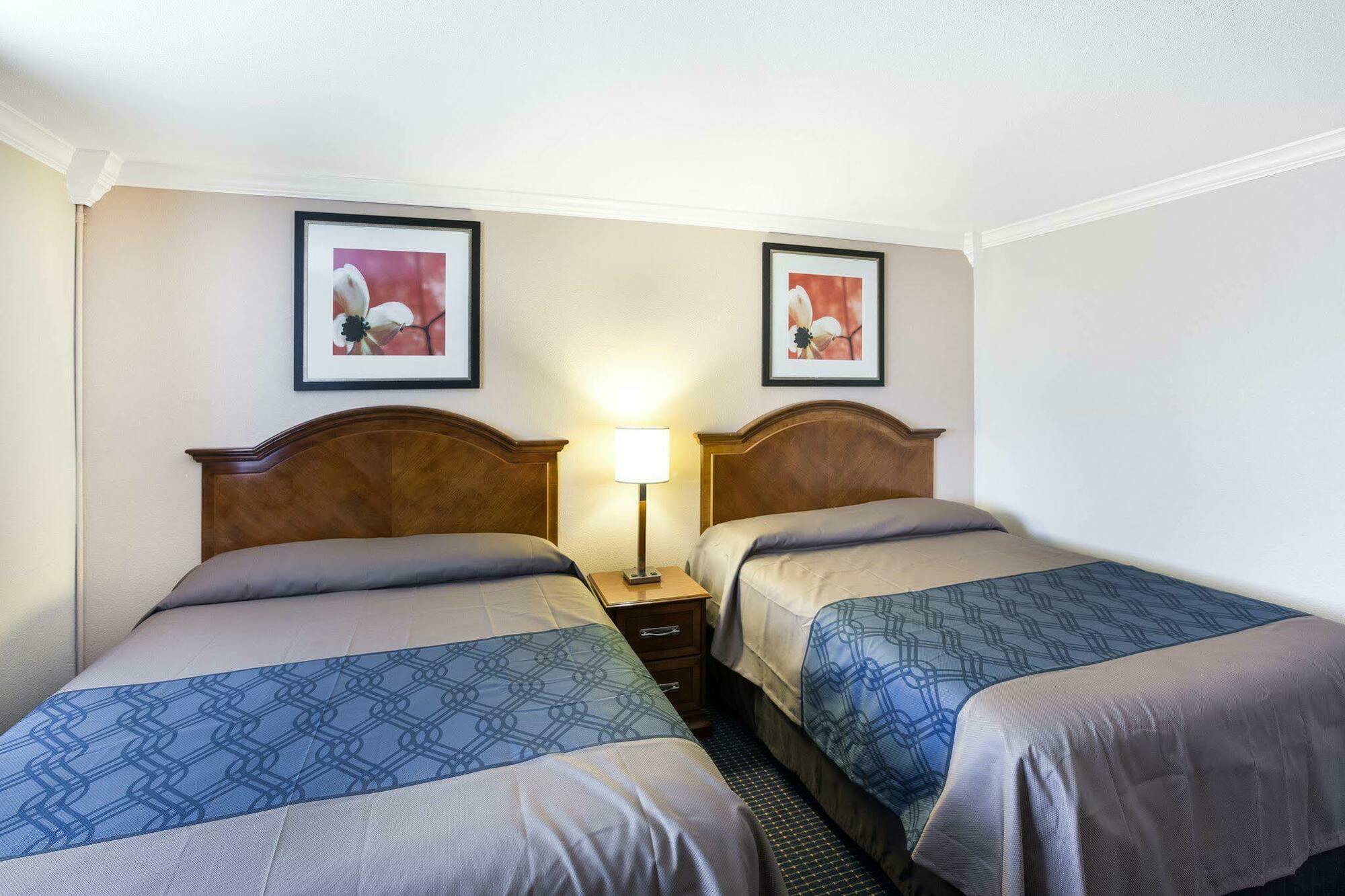 University Inn & Suites San Antonio Buitenkant foto